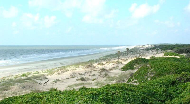 Cumberland Island Georgia