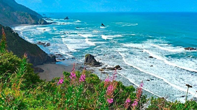 Enderts Beach California