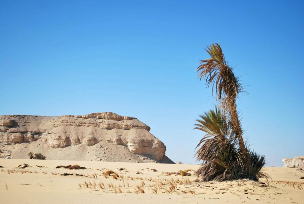 Qattara Depression, Egypt