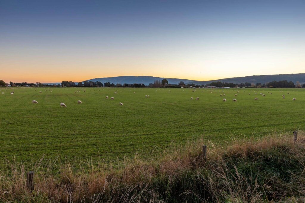 Taieri Plain, New Zealand