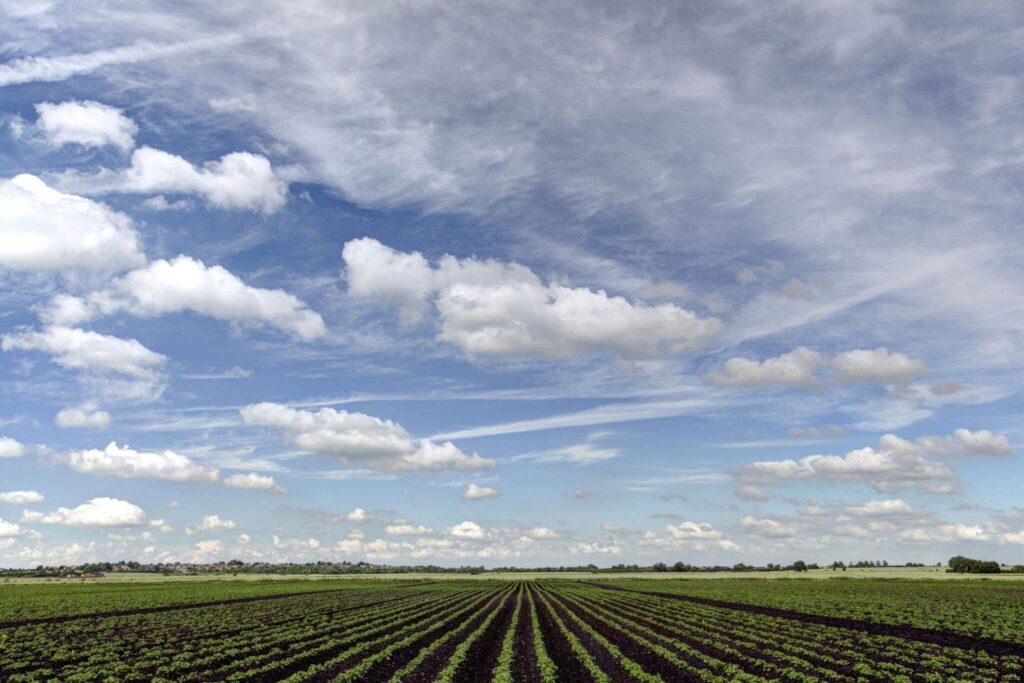 The Fens, England