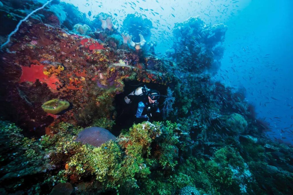 Federated States of Micronesia scuba diving