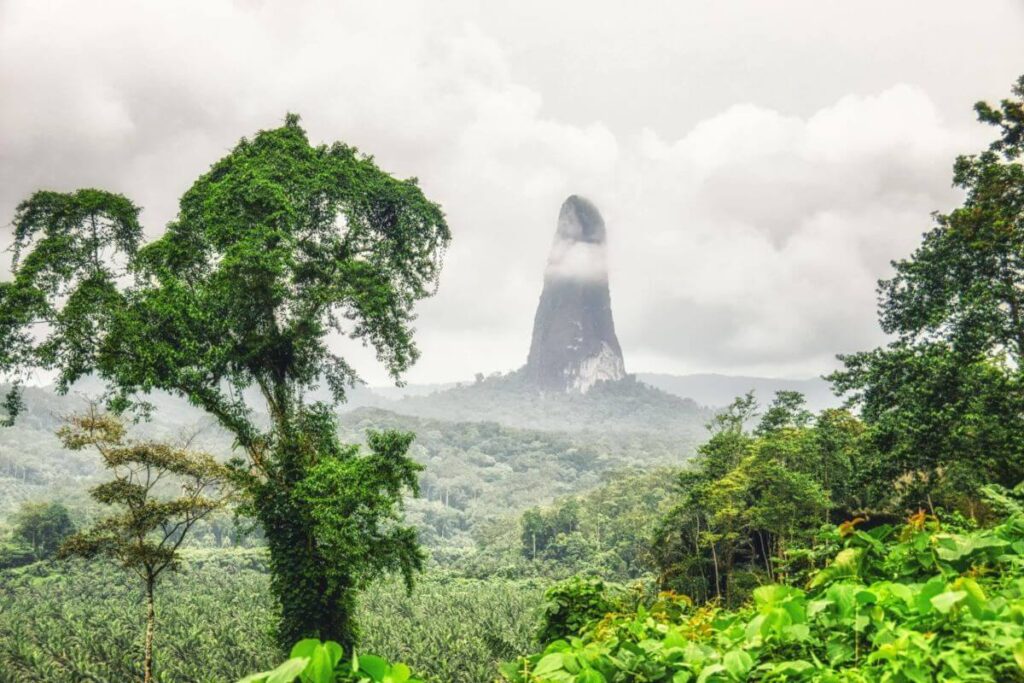 Sao Tome and Principe cao grande