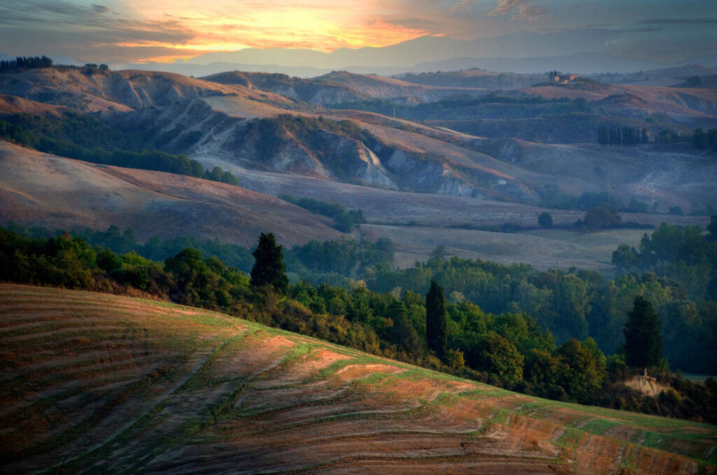 Explore the Vineyards of Tuscany