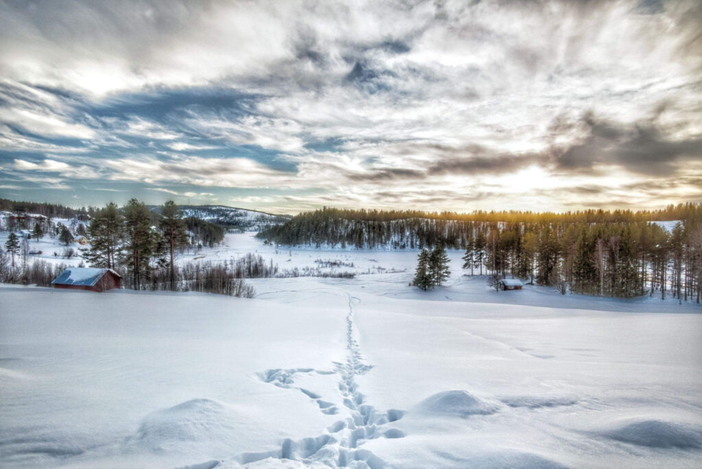 Visit Europe's Arctic Wilderness