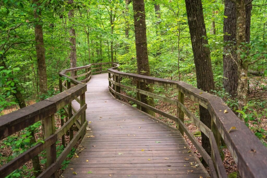 congaree national park, south carolina
