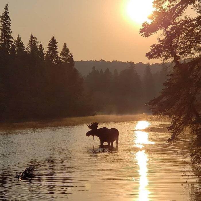 isle royale national park, michigan